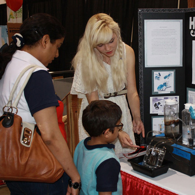 无捆绑无弹窗的免费ddos平台攻击